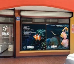 OCÉANO ACUARIO MARINO Y DULCE