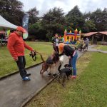 parque_para_perros-II-min