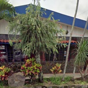 RESTAURANTE TÍPICO EL OASIS