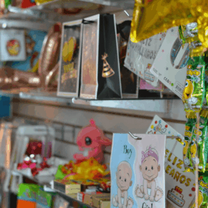 ABASTECEDOR EL PORVENIR